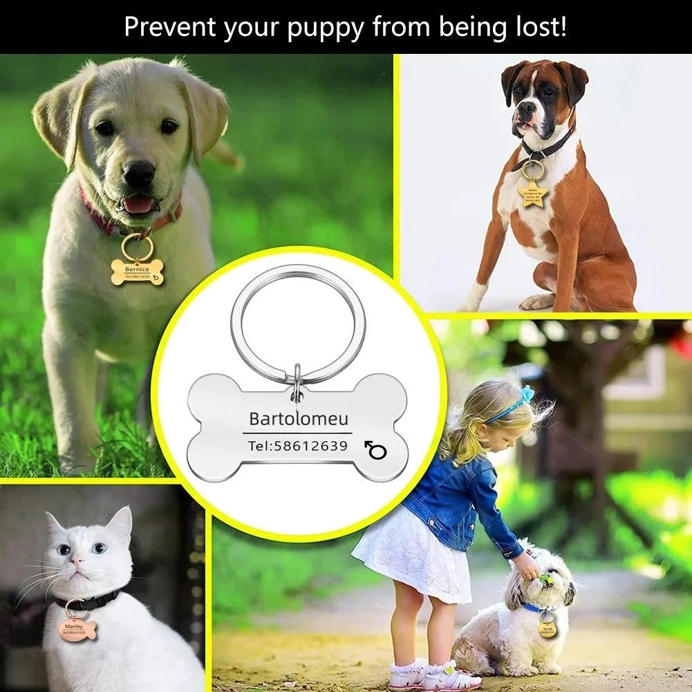 Haustier-ID-Tag 2025: Personalized-Engraved Anti-Lost - Pet Safety Collection
