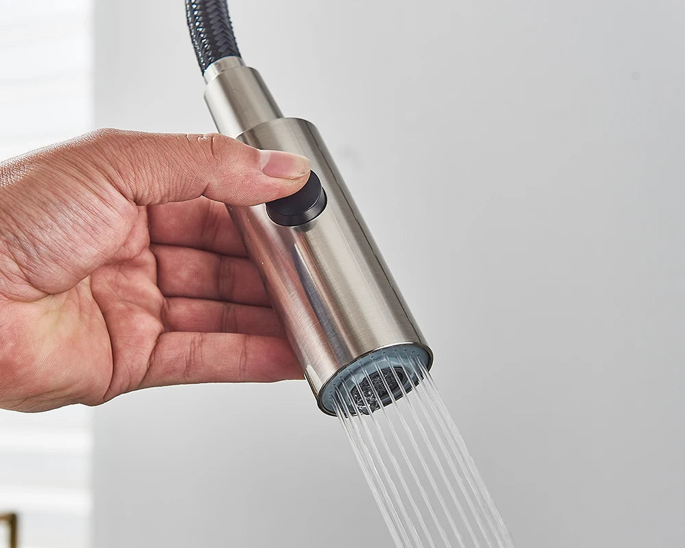 Schwarzer Gefilterter Küchen Wasserfilter