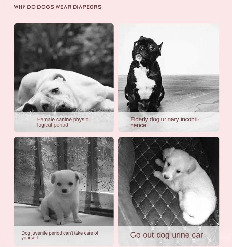 PetComfort Hund Einwegwindeln weiblich - 10er M hoch