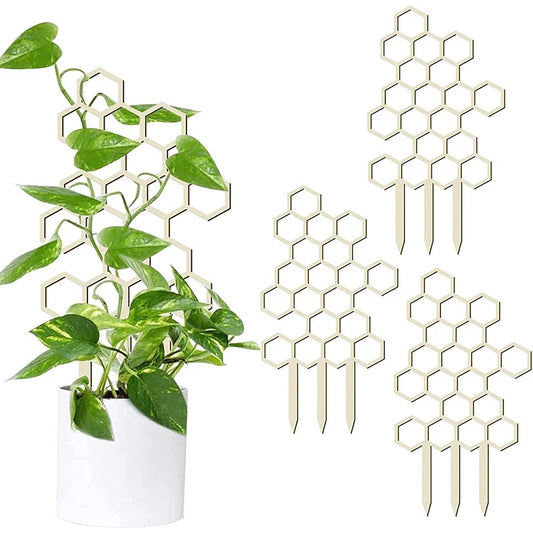 Choice Klettergitter Honigwaben - Holz Indoor 60 cm
