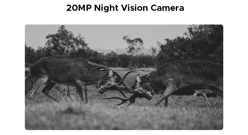 DOOGEE Blade20 Max Outdoor-Smartphone - 11800mAh 33W 6,6 Zoll