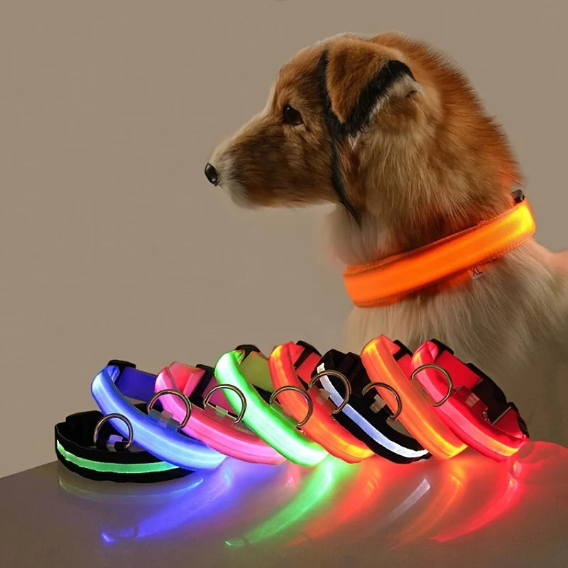 GlowDog Pro LED blinkend Leine - Nylon 1,5 m, USB 5V