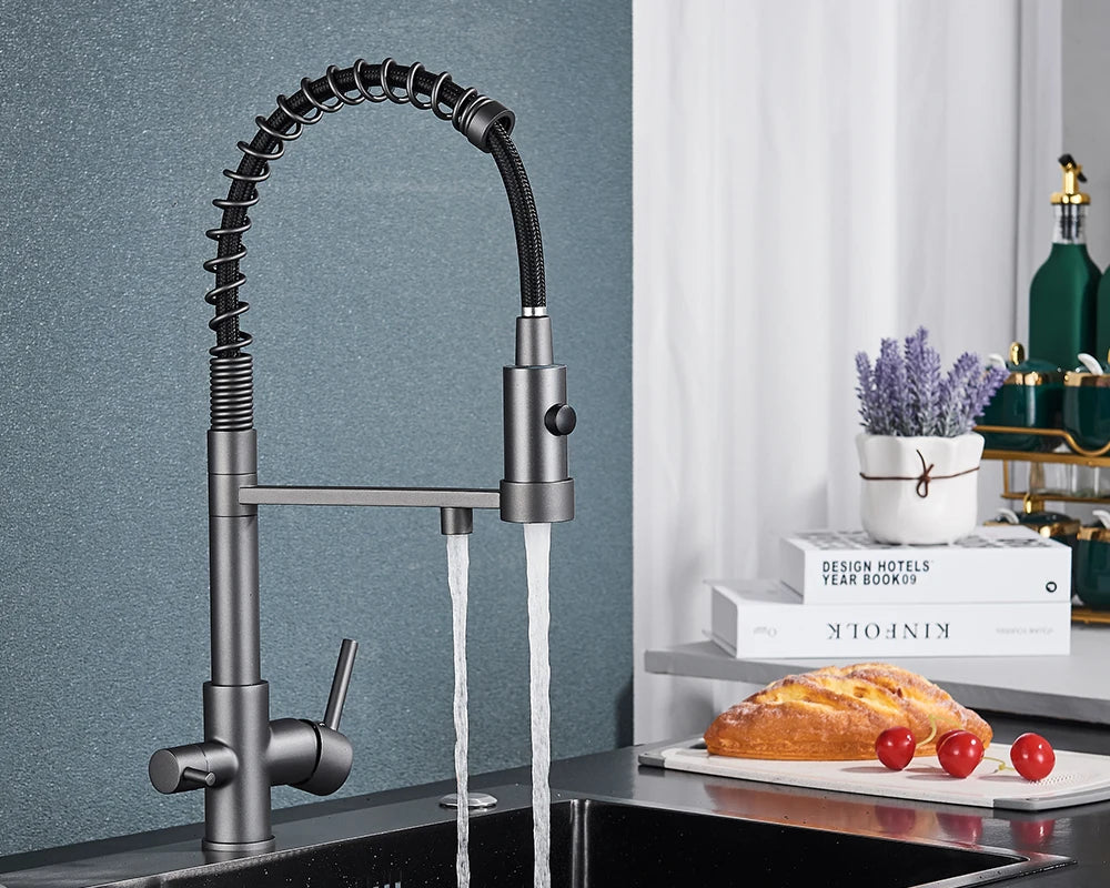 Schwarzer Gefilterter Küchen Wasserfilter
