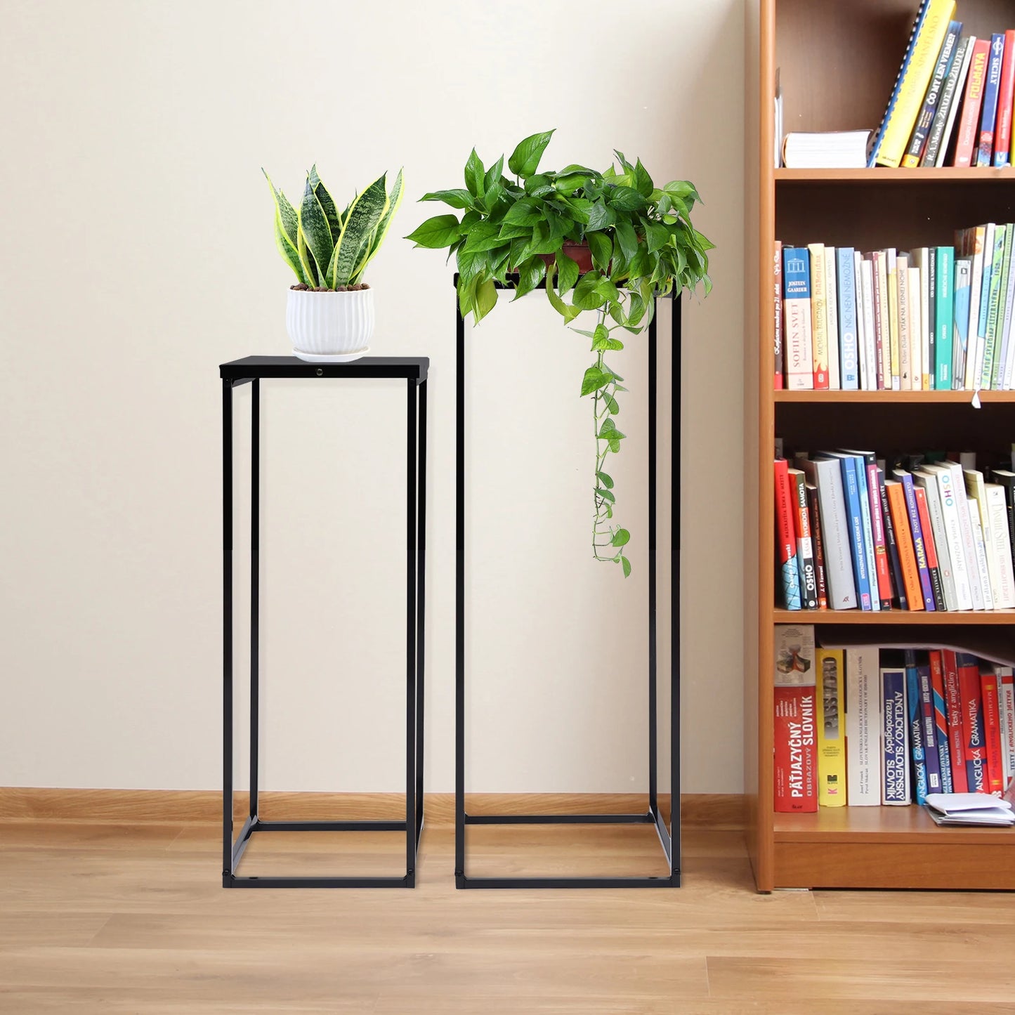 Bymaocar Pflanzenständer-Set 70/60 cm Metall Tragfähigkeit 4-5 kg