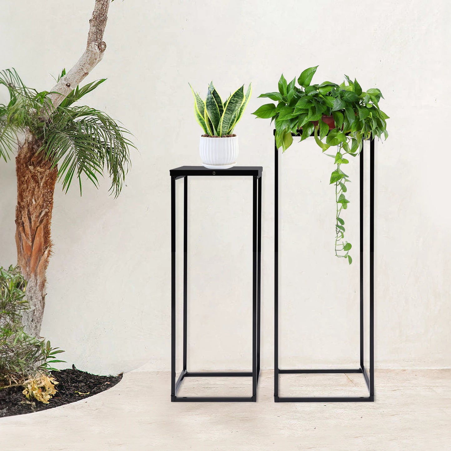 Bymaocar Pflanzenständer-Set 70/60 cm Metall Tragfähigkeit 4-5 kg