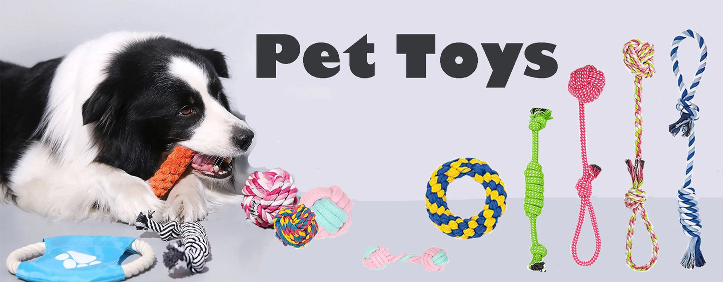 Anpassen Luxus Große Kleine Big Hund Halsband Leder Personalisiert, Breit Leder Personalisiert Halsband für Hunde Name Graviert