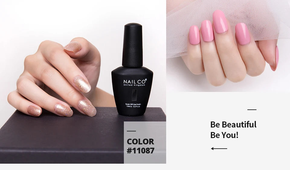 NAILCO 15ml 20pcs/Set UV Gel Nail Polish Semi Permanent Esmalte Vernis LED Gel Varnishes Soak Off Nail Art DIY All For Manicure
