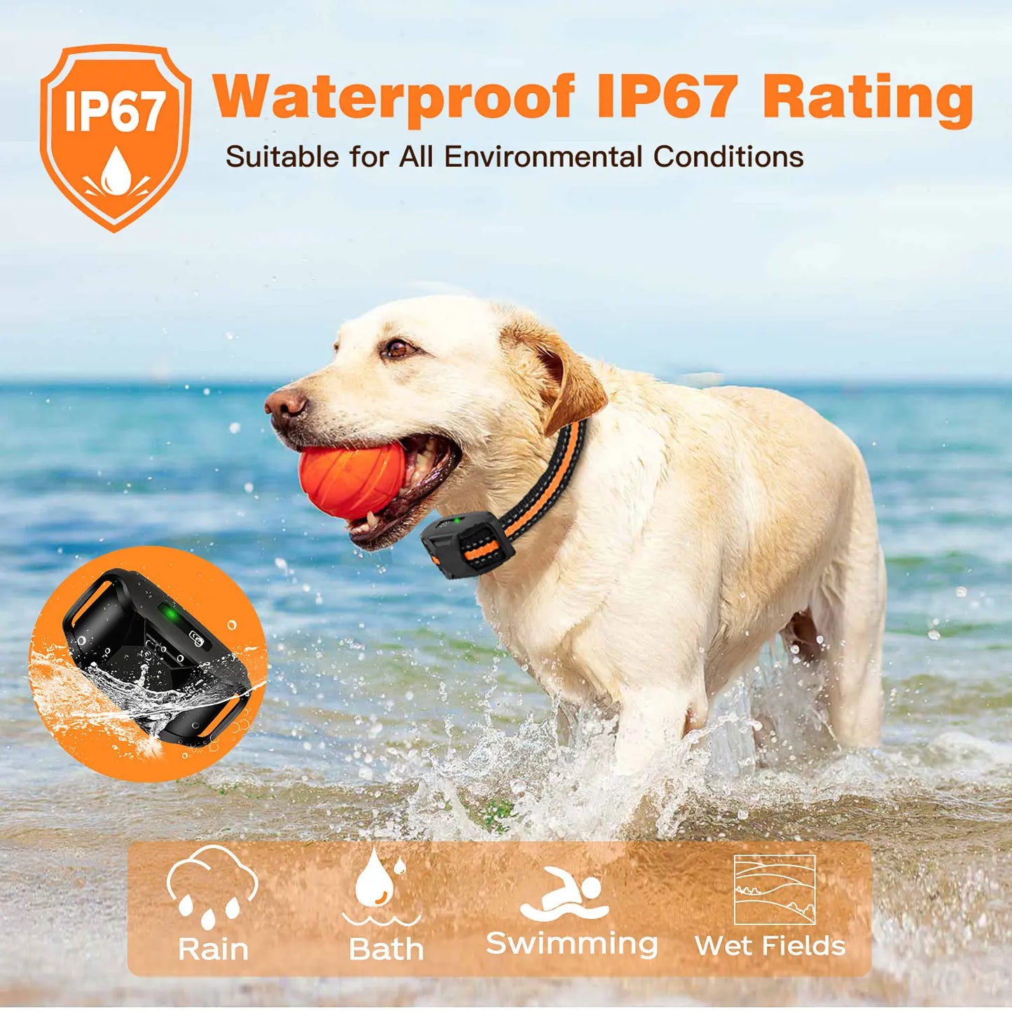 WXRPET RS2 Training Halsband - 3300ft, 5-120lbs, wasserdicht