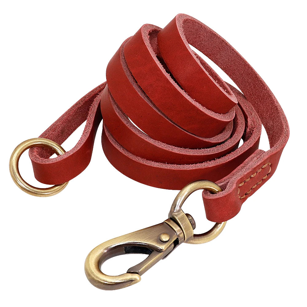Anpassen Leder Hund Halsband Leine Set Personalisiert Haustier Halsband Leine Kostenlose Graviert Namensschild Für Kleine Mittlere Große Hunde
