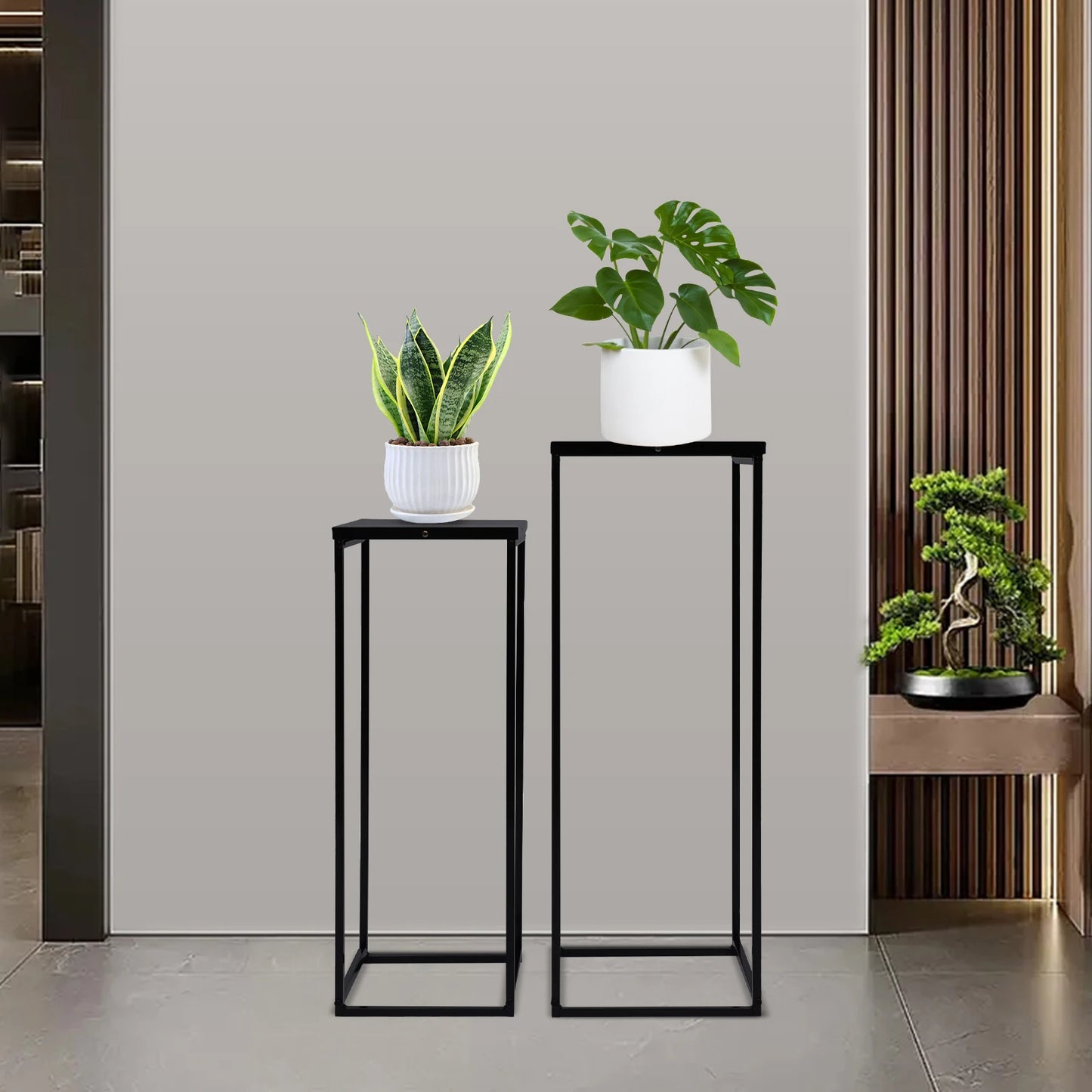 Bymaocar Pflanzenständer-Set 70/60 cm Metall Tragfähigkeit 4-5 kg