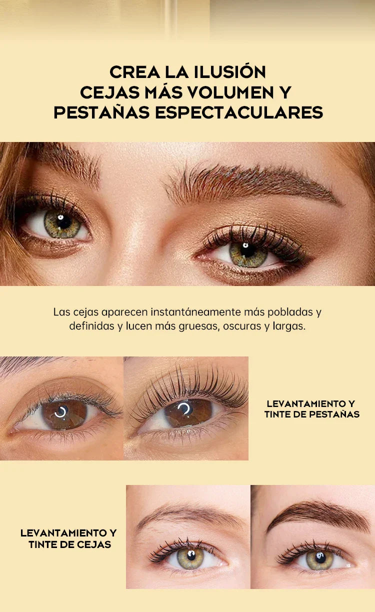 Gollee Semi permanent lash & brow tint natural black eyelash lifting & perming kit