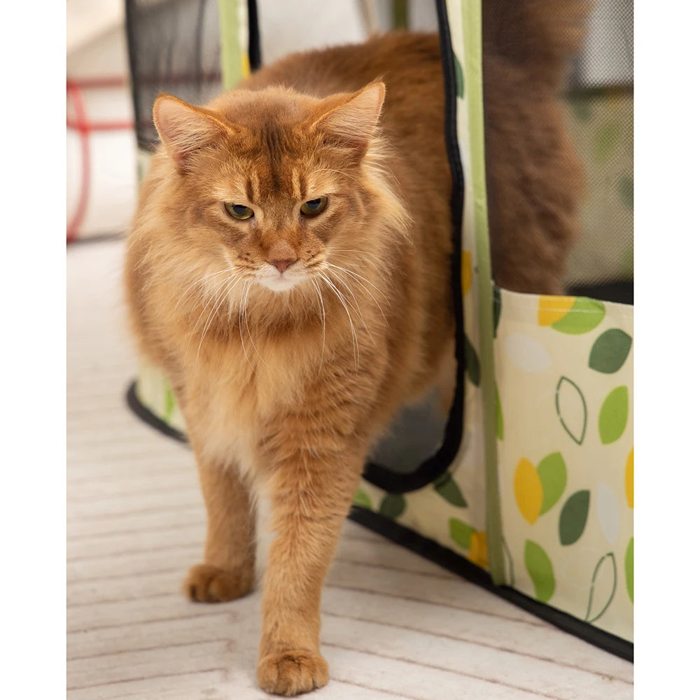 Katzenhaus 2025: Faltbar Indoor-Pet Zelt - Multi-Pet Care Collection