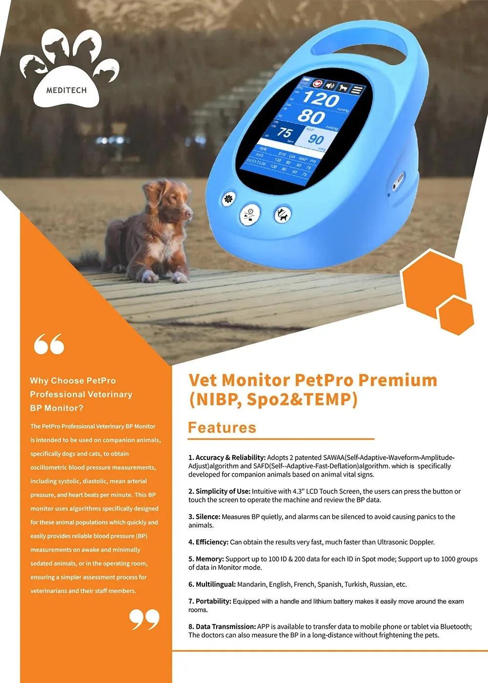 Intelligent Pet Blood Pressure Monitor For Animal Use, Intelligent Monitoring of Cat And Dog Blood Pressure