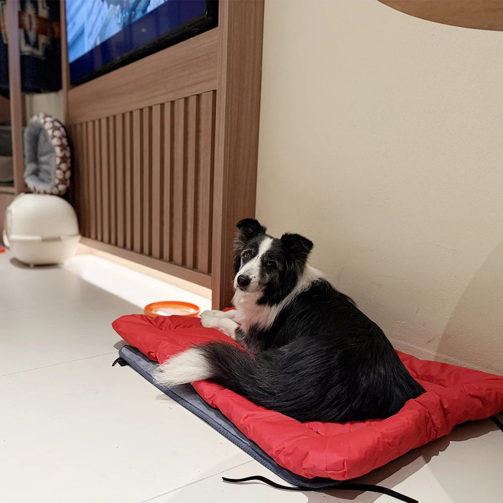 Hundebett 2025: PETRAVEL Outdoor Dog Bed Portable Camping Travel - Foldable Dog Mat Waterproof Non-Slip Machine Washable Pet Accessories Collection