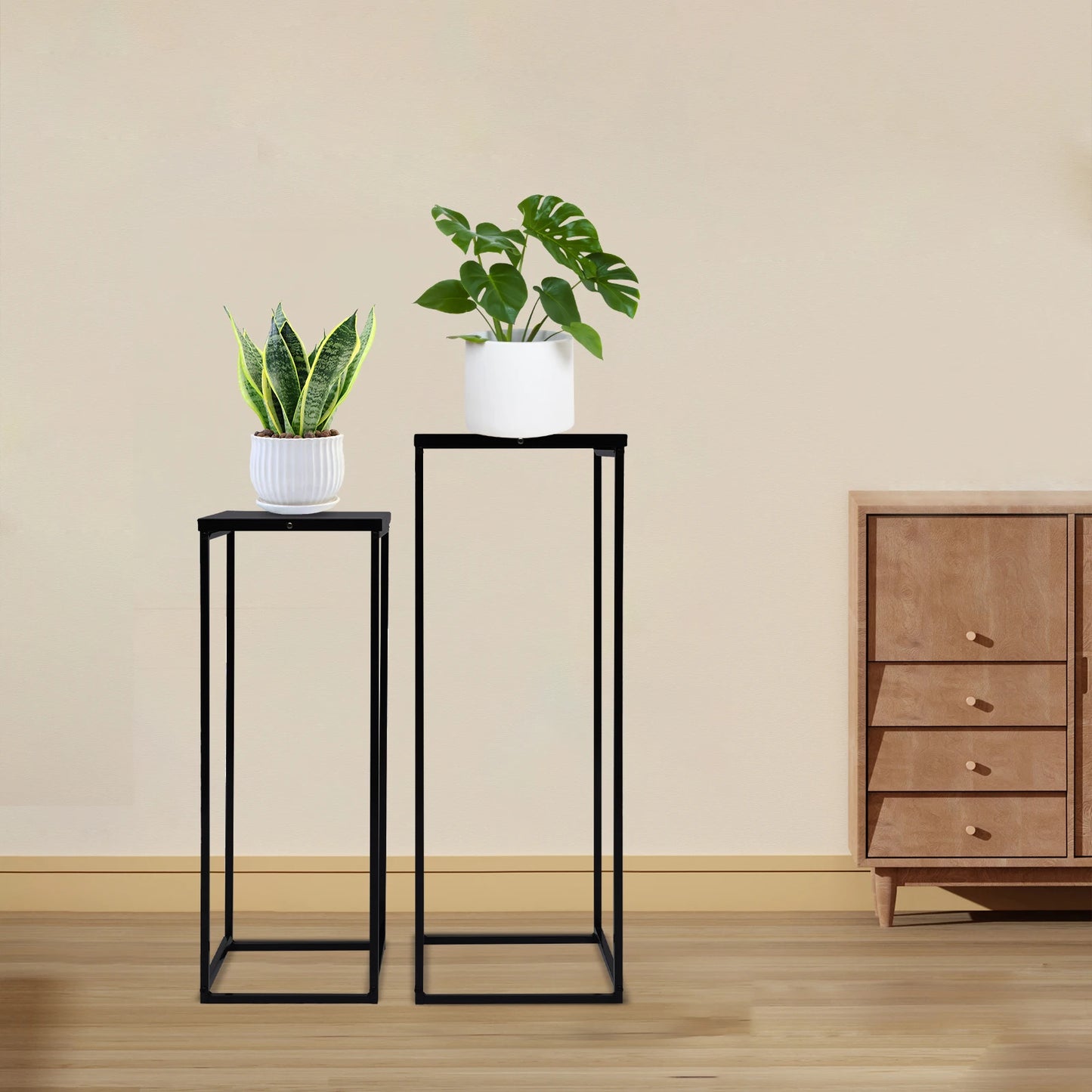 Bymaocar Pflanzenständer-Set 70/60 cm Metall Tragfähigkeit 4-5 kg