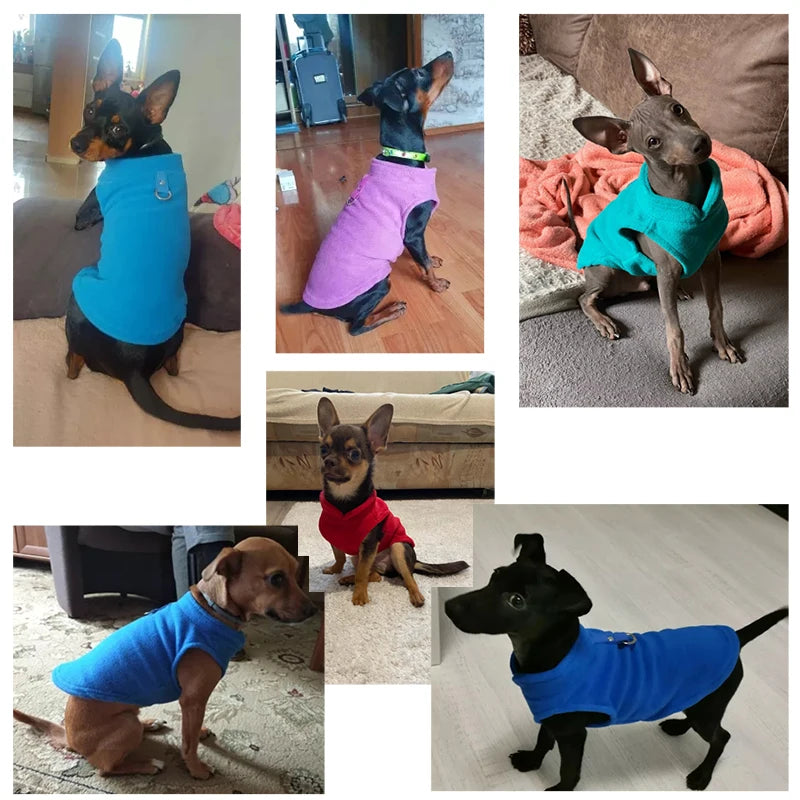 Winter Fleece Hundekleidung 2025