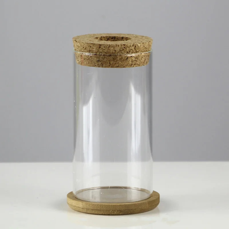 Choice Mini Hydroponischer Blumentopf - Glas 250ml 12cm