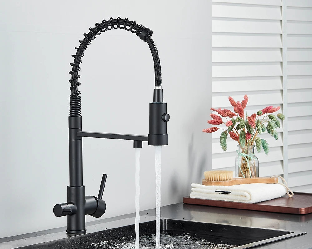 Schwarzer Gefilterter Küchen Wasserfilter