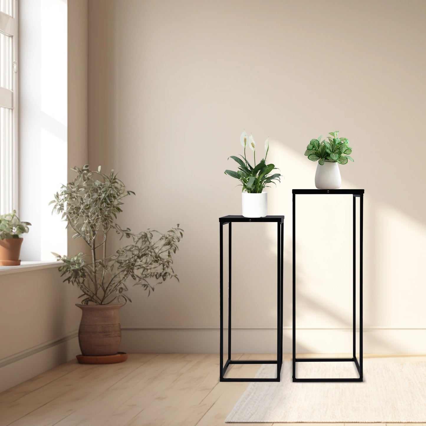 Bymaocar Pflanzenständer-Set 70/60 cm Metall Tragfähigkeit 4-5 kg