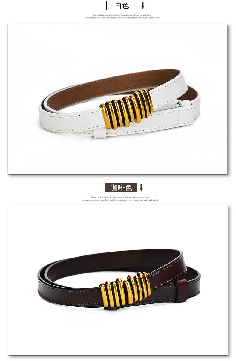 Luxury Elastic Belt Female Thin Waist Strap Pin Buckle Belt for Women Skirt Coat Sweater Leather Belts Ladies Band Decoration