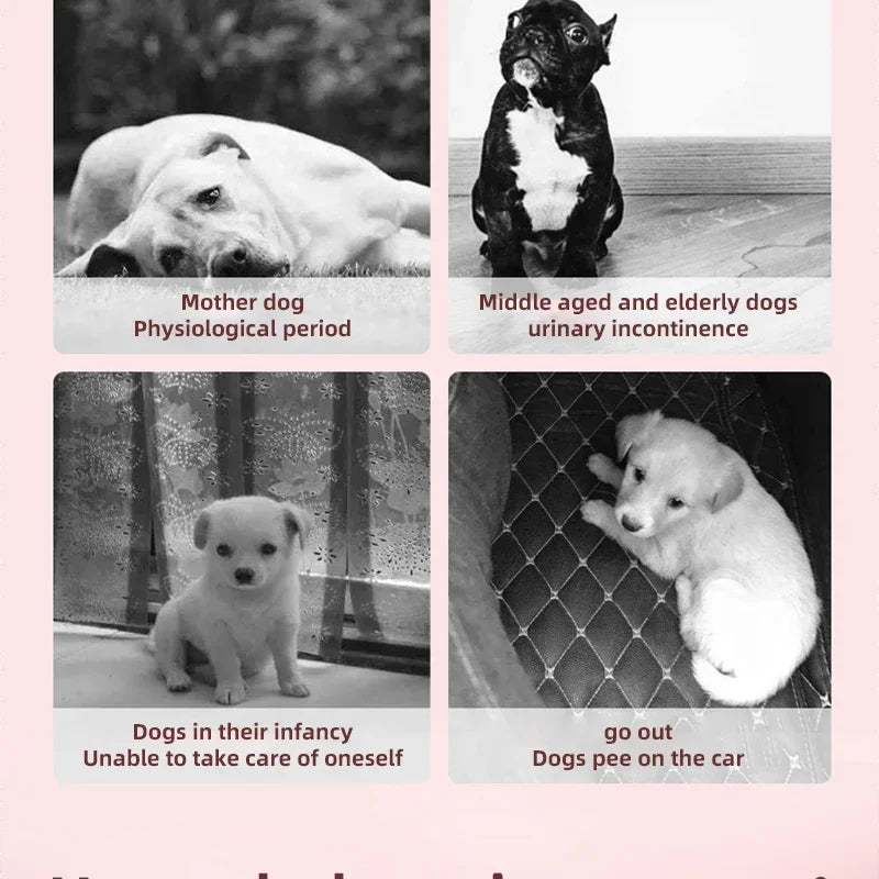 MOONBIFFY Einweg-Hundewindeln Superabsorption - 10 St, M