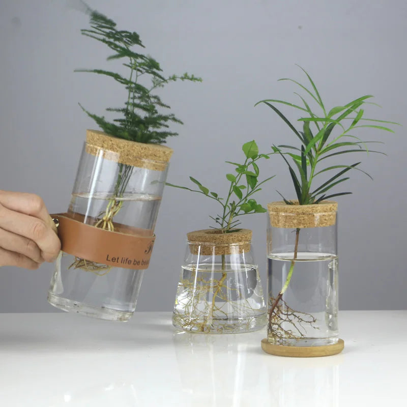 Choice Mini Hydroponischer Blumentopf - Glas 250ml 12cm