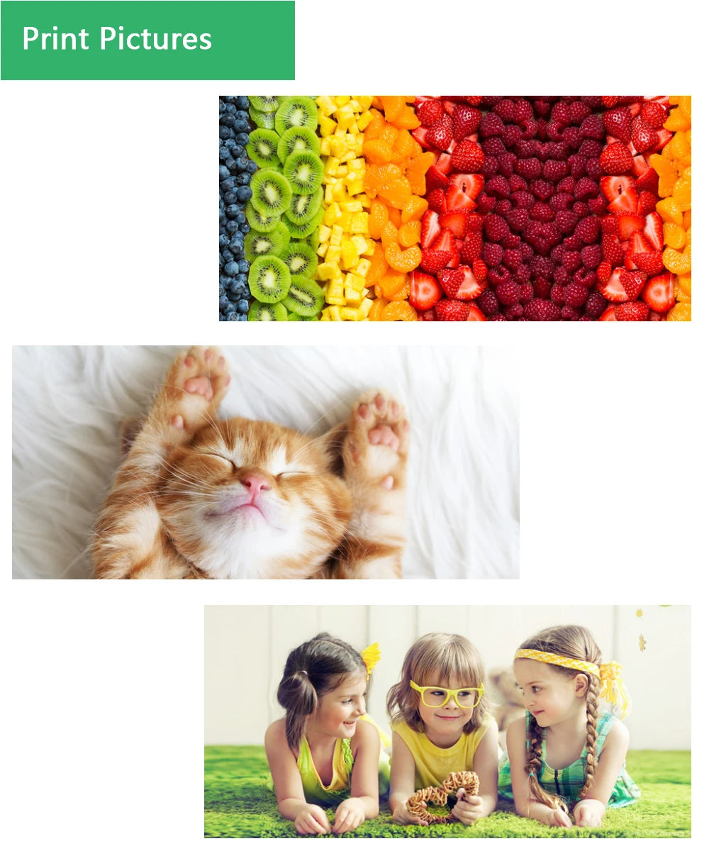 Tintenpatrone 2025: 29XL T2991 Compatible - Epson XP Multi-Series Collection