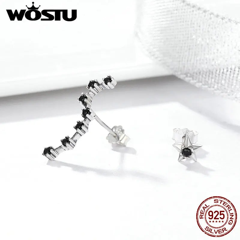 Cercei cu șurub WOSTU CQE166 Stele Carp - Argint 925 1,23g