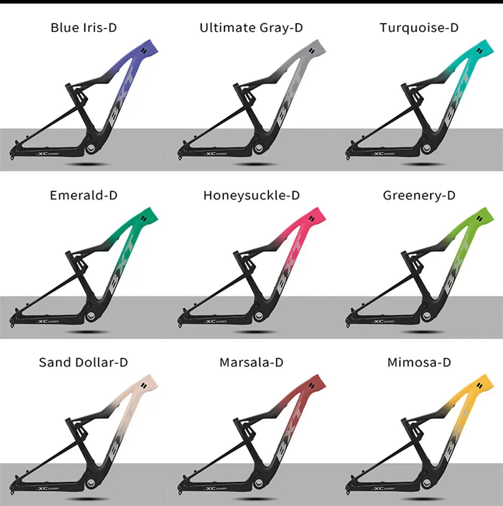 BXT 29er Carbon Rahmen - Boost 148x12mm 100mm 165x35x22mm