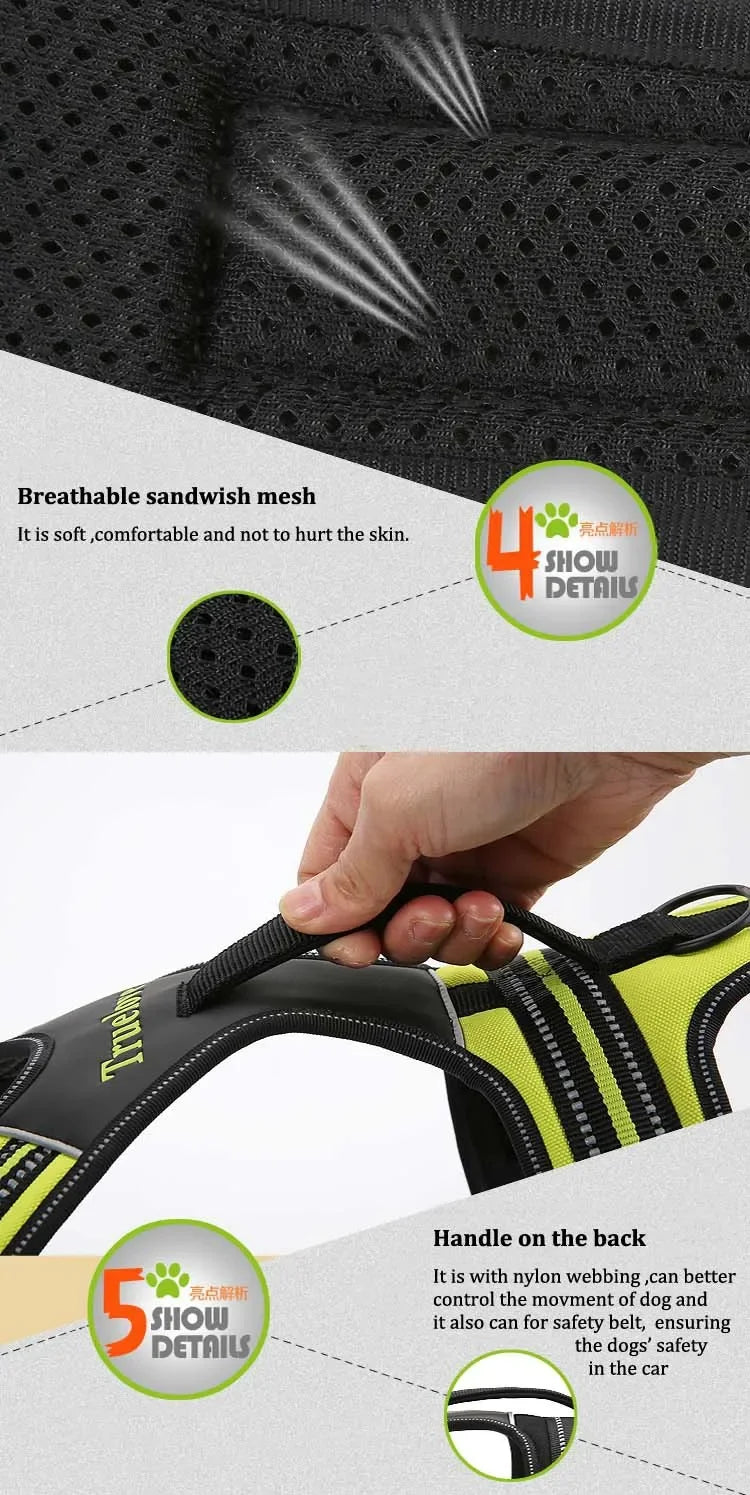 Truelove Sport Nylon Reflektierend: No Pull Hund Geschirr 3M Outdoor Abenteuer - Haustier Weste Griff XS-XL Gepolstert Schnell Lösbar 5 Farben
