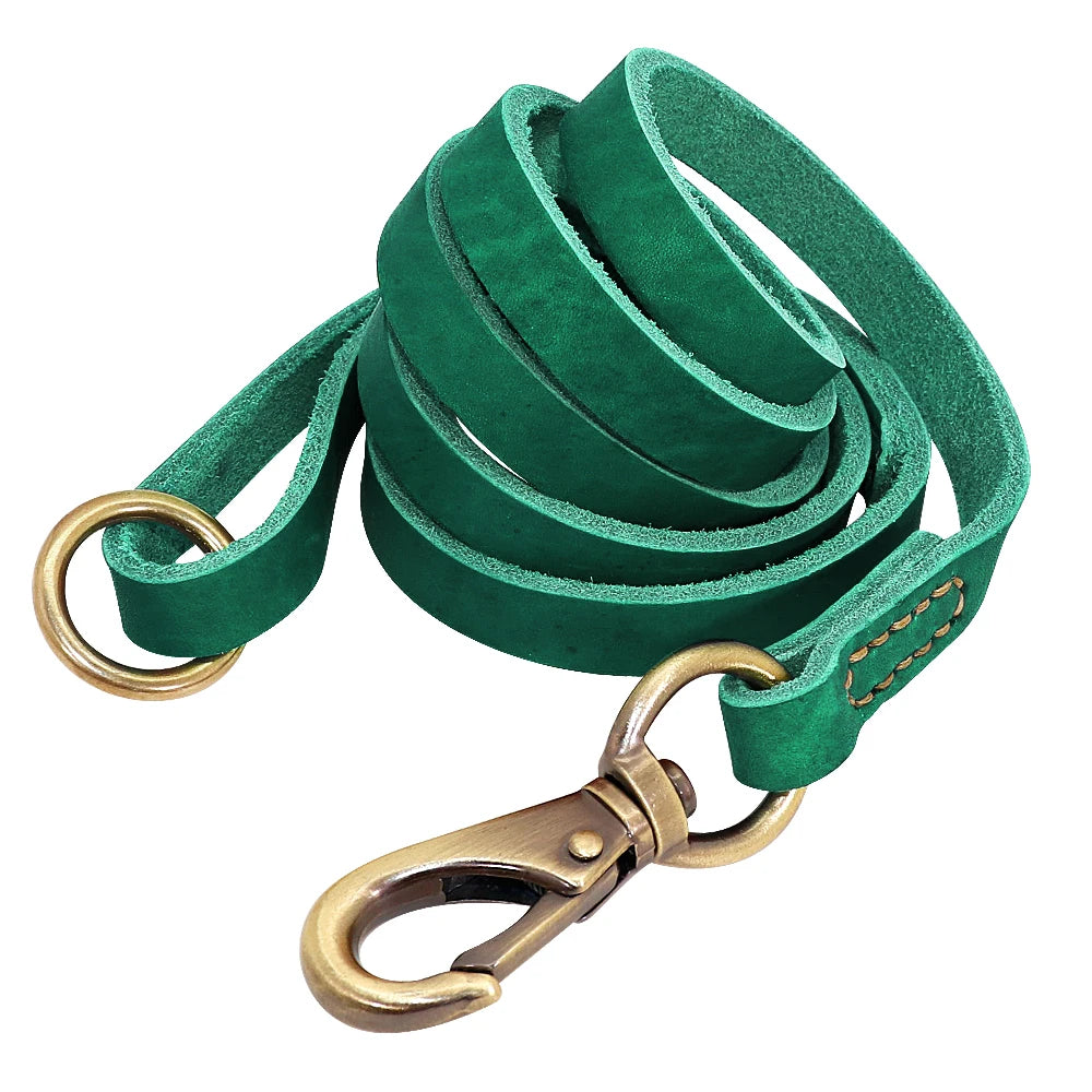 Anpassen Leder Hund Halsband Leine Set Personalisiert Haustier Halsband Leine Kostenlose Graviert Namensschild Für Kleine Mittlere Große Hunde