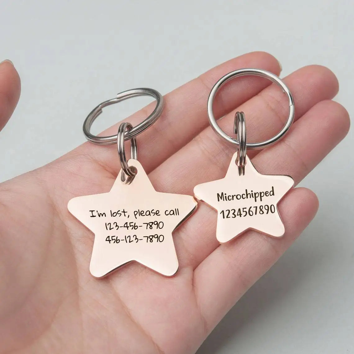 Haustier-ID-Tag 2025: Personalized-Engraved Anti-Lost - Pet Safety Collection