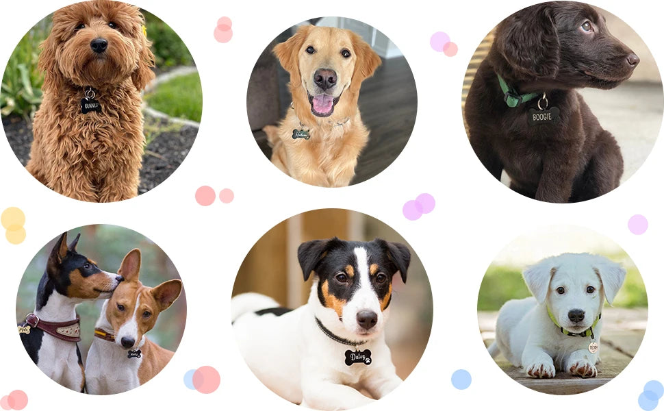 Personalisiert Graviert Katze Hund Pet ID Tag 2025 - Hunde Anti-Lost Halsband Charm - Gravur Pet Name Halsband Welpe Katzen Accessories
