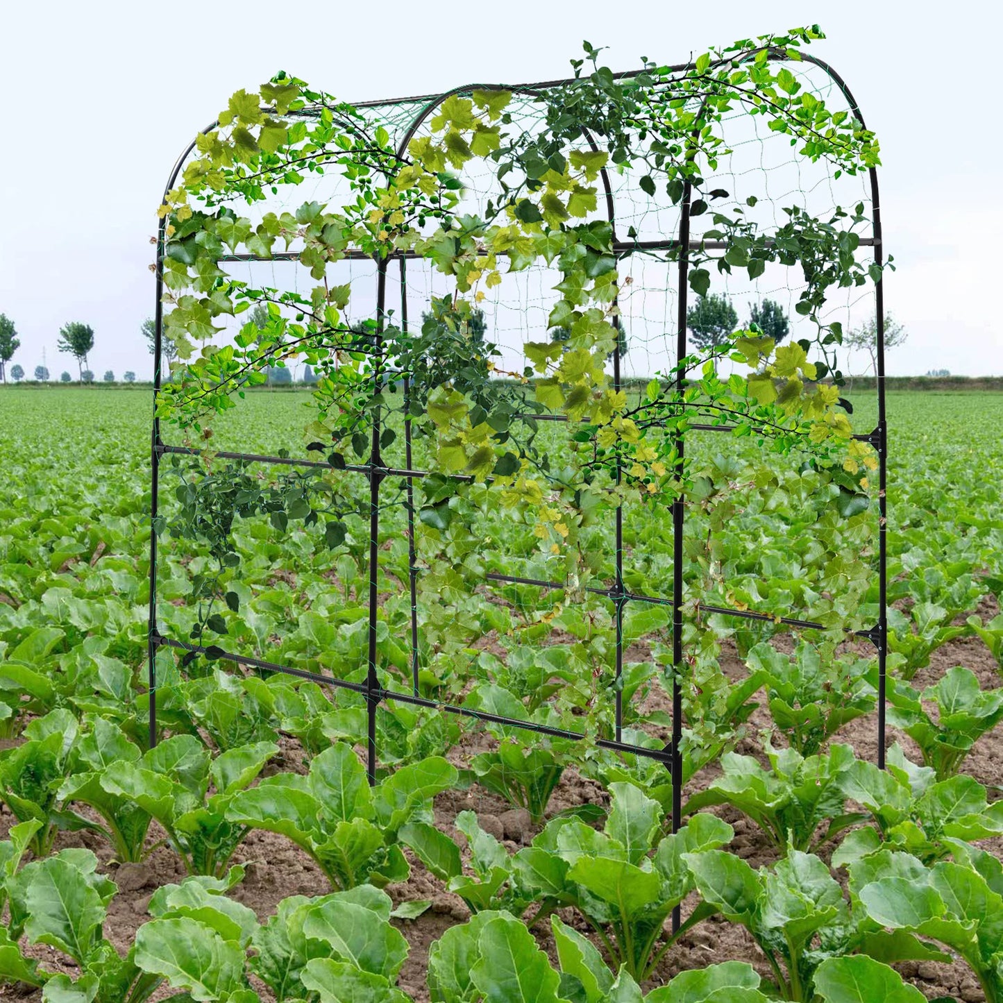 GartenMeister Gartenbogen 230 cm Höhe, 20 mm Rohrdurchmesser, Stahl/PE