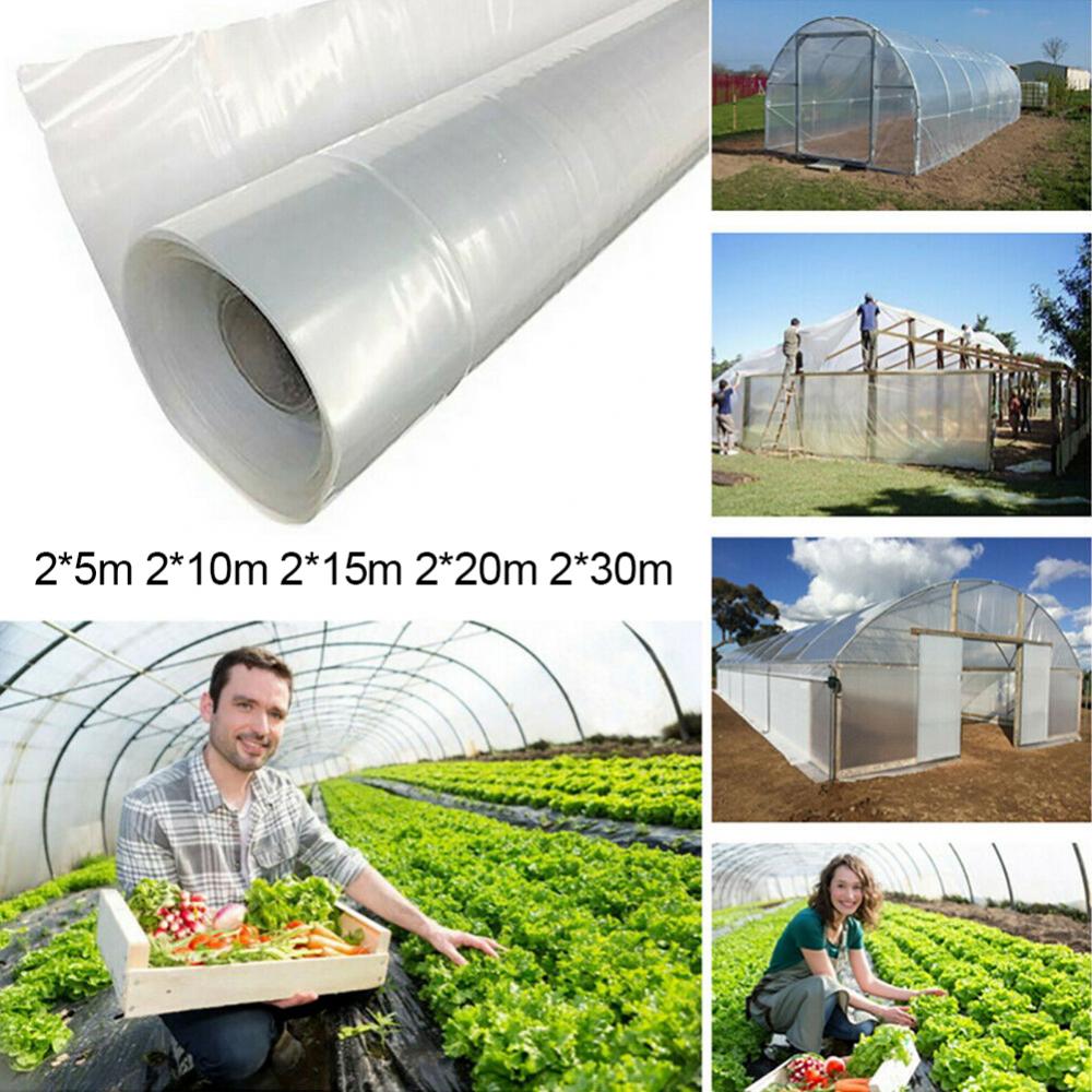 Plastic Transparent Green 15m Vegetable Greenhouse Agricultural Cultivation Ptotection Cover Film