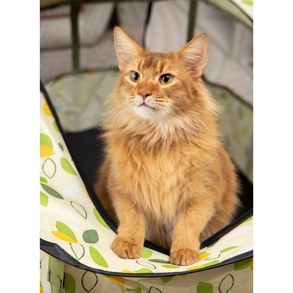 Katzenhaus 2025: Faltbar Indoor-Pet Zelt - Multi-Pet Care Collection