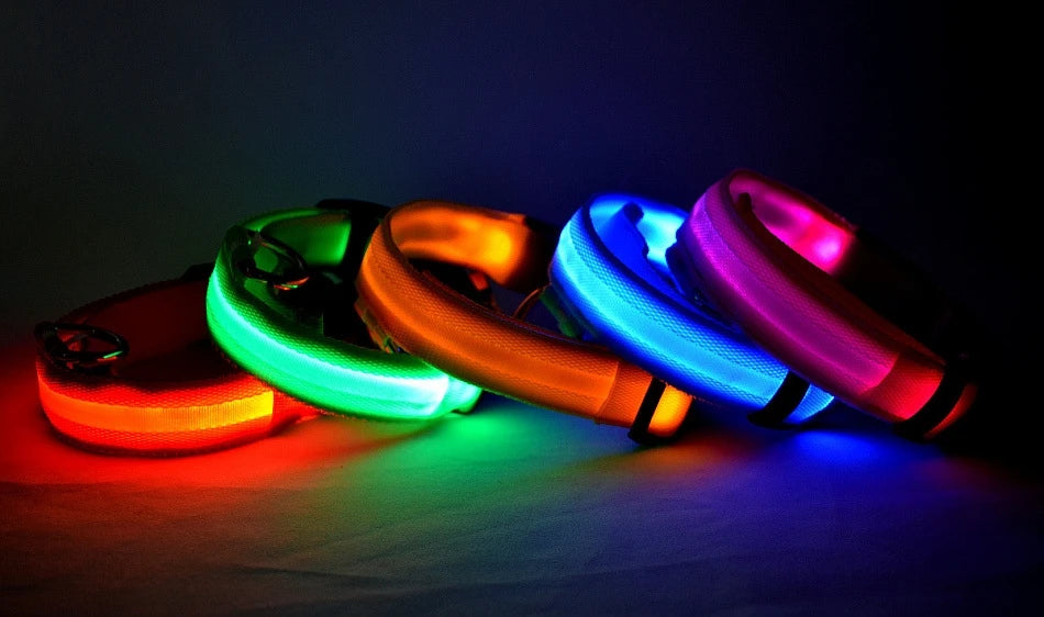 GlowDog Pro LED blinkend Leine - Nylon 1,5 m, USB 5V