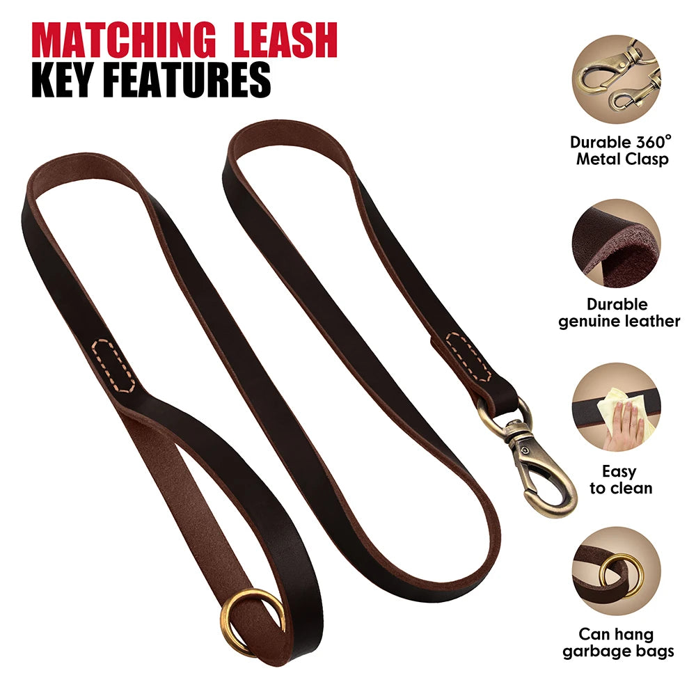 Echtes Leder Hund Halsband Leine Set Personalisiert Haustier Halsband Mit Leine Kostenlose Gravur Namensschild Für Kleine Mittlere Große Hunde