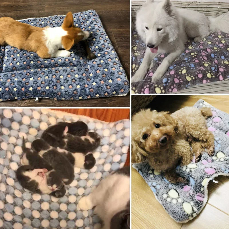 Haustier Schlafmatte 2025 - Hunde Bett Katzen Bett Weiche Haare - Verdickte Decke Pad Fleece Home Waschbar Warm Bär Muster Pet Supplies