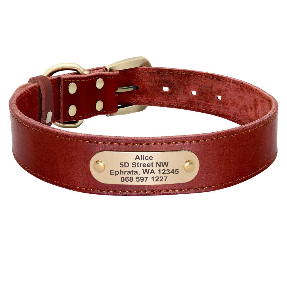Anpassen Leder Hund Halsband Leine Set Personalisiert Haustier Halsband Leine Kostenlose Graviert Namensschild Für Kleine Mittlere Große Hunde