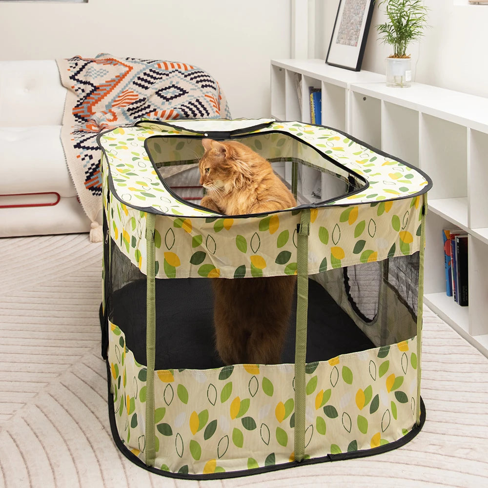 Katzenhaus 2025: Faltbar Indoor-Pet Zelt - Multi-Pet Care Collection
