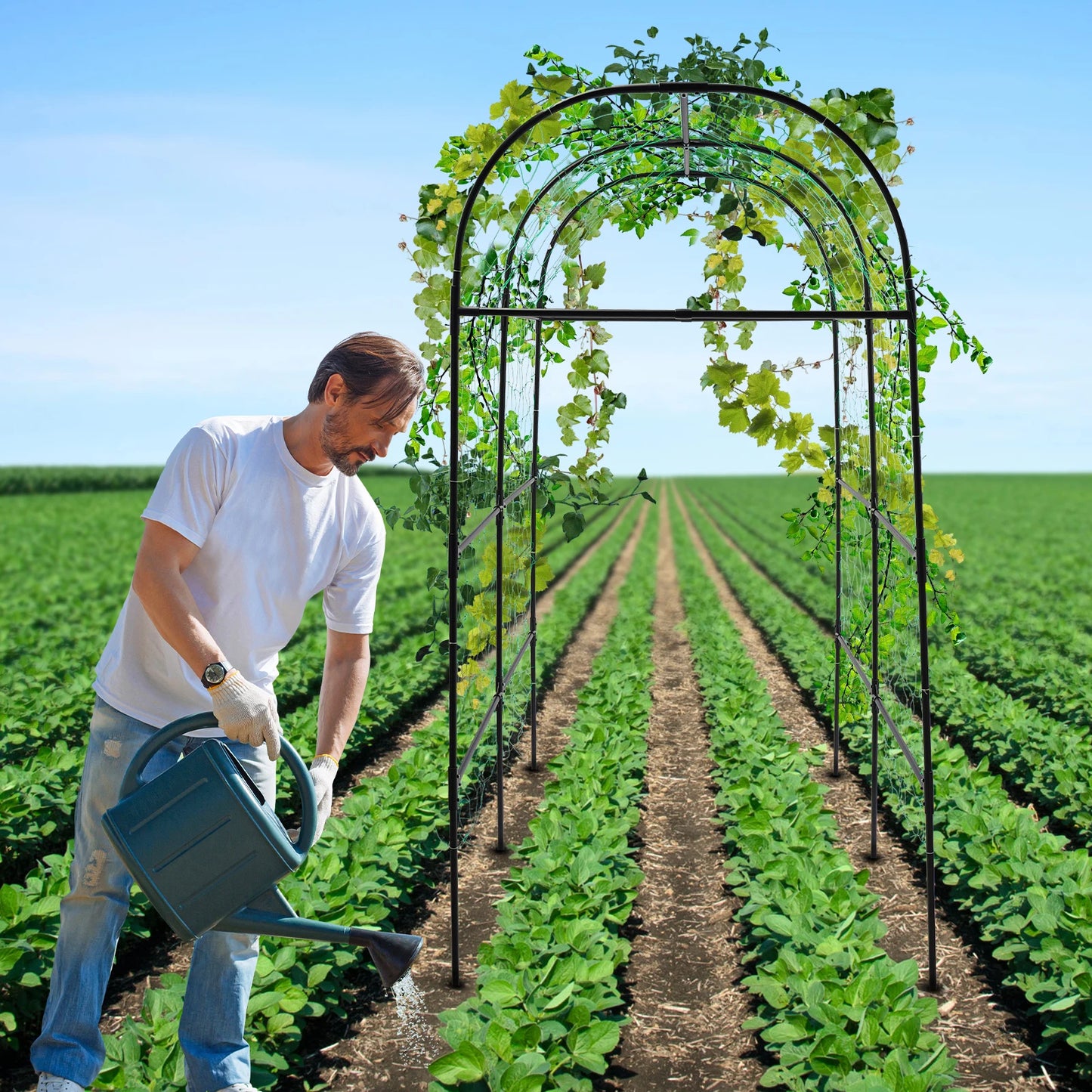 GartenMeister Gartenbogen 230 cm Höhe, 20 mm Rohrdurchmesser, Stahl/PE