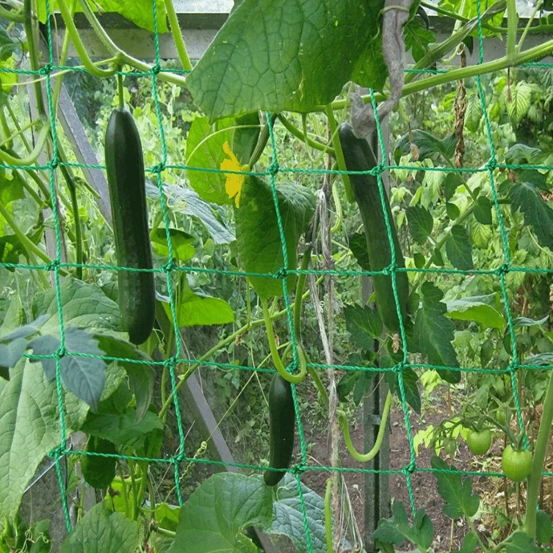 Plant Trellis Pergolas, Heavy-Duty Polyester Grow Net, Garden Trellis Netting With Square Mesh For Climbing Plants, Vegetables