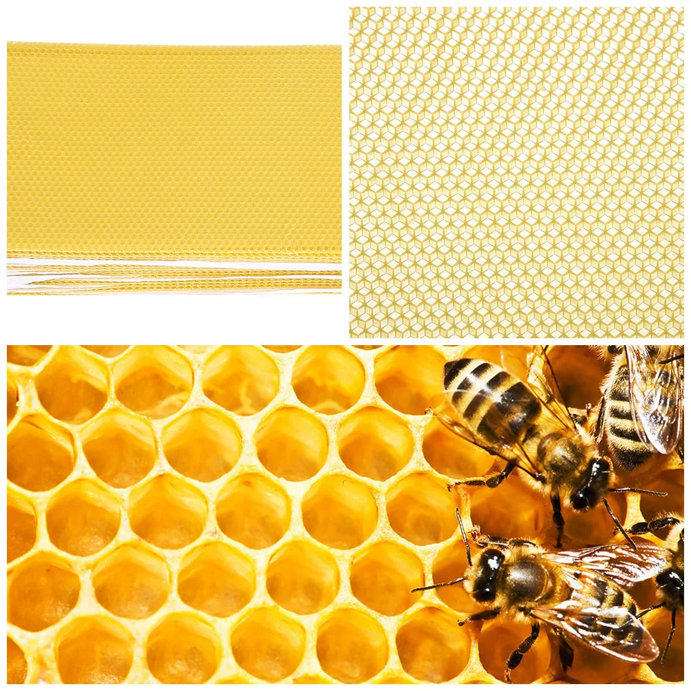 Bienenhaltungsnestkasten  Wachshonigkammblätter  Imkerwerkzeuge  Wachshonig  Honigkamm