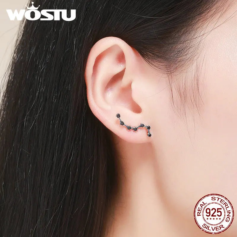 Cercei cu șurub WOSTU CQE166 Stele Carp - Argint 925 1,23g