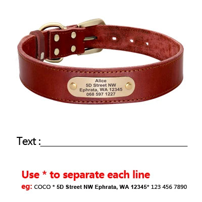 Anpassen Leder Hund Halsband Leine Set Personalisiert Haustier Halsband Leine Kostenlose Graviert Namensschild Für Kleine Mittlere Große Hunde