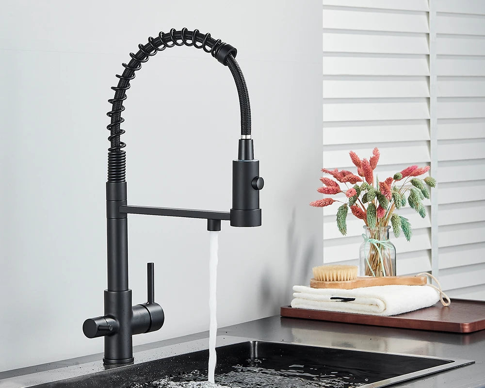 Schwarzer Gefilterter Küchen Wasserfilter