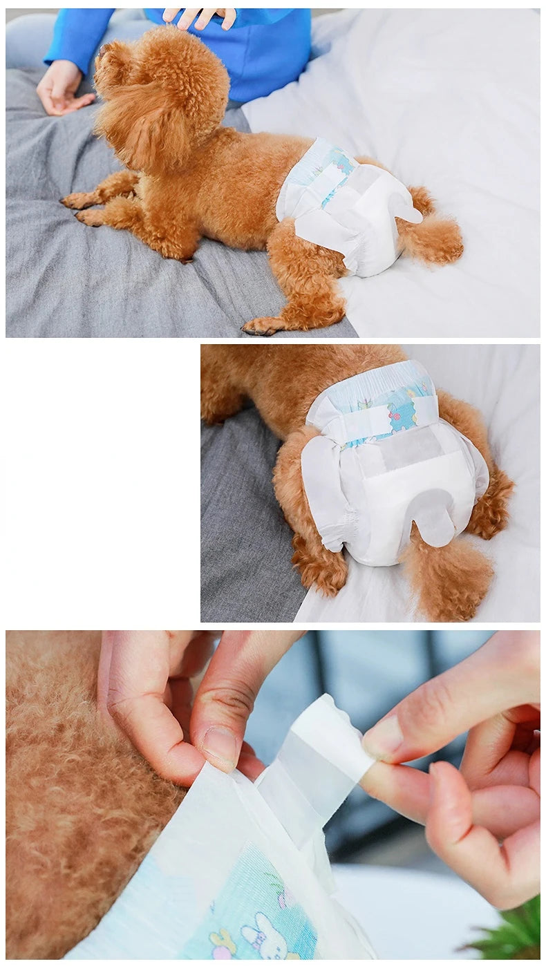 PetComfort Hund Einwegwindeln weiblich - 10er M hoch