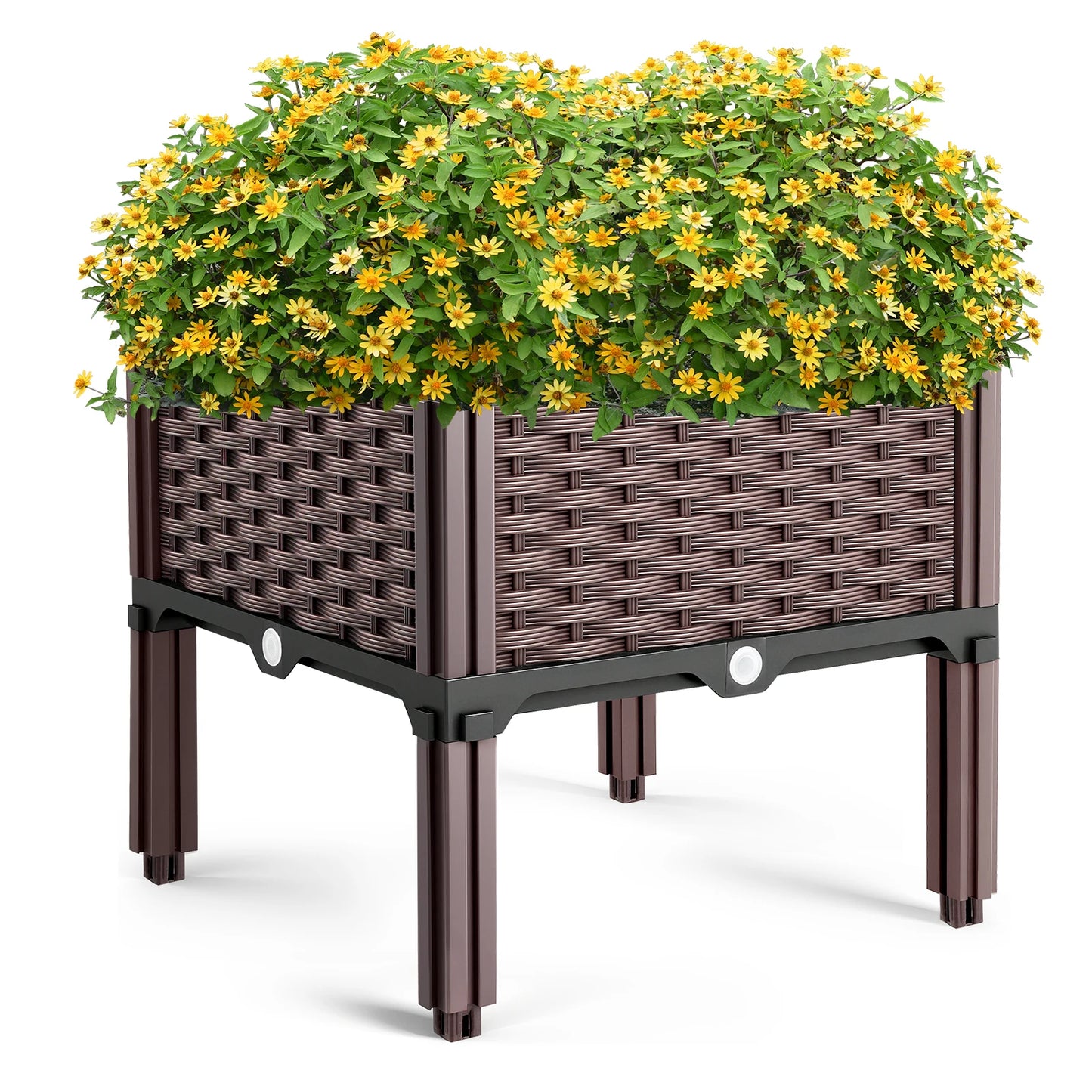 GrünBox Pflanzbeet Kunststoff PP 1 Fach Bewässerung