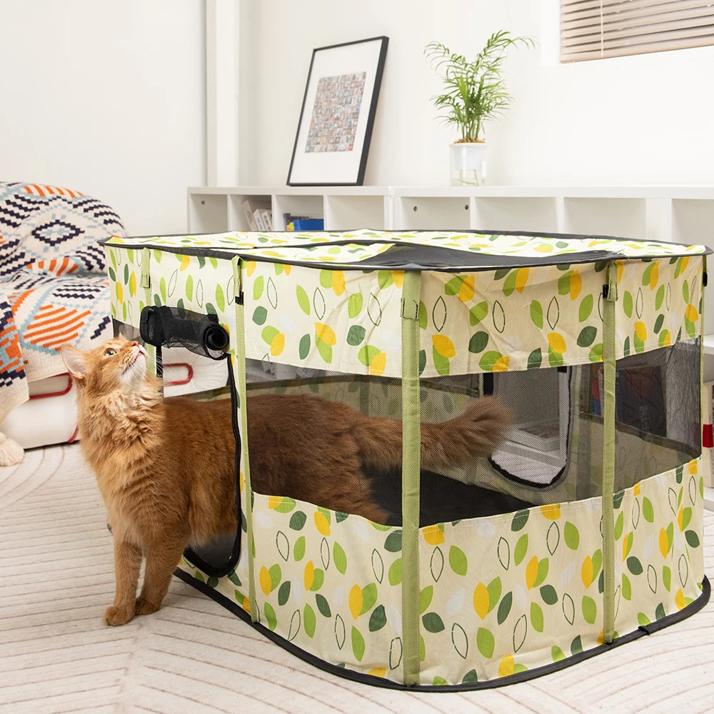 Katzenhaus 2025: Faltbar Indoor-Pet Zelt - Multi-Pet Care Collection